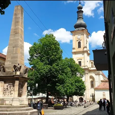 Beautiful In The Heart Of The Cluj-Napoca